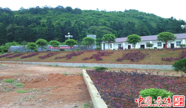大山深处的“花园”小学