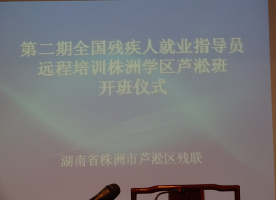芦淞区残联组织观看全国残疾人就业指导员远程培训