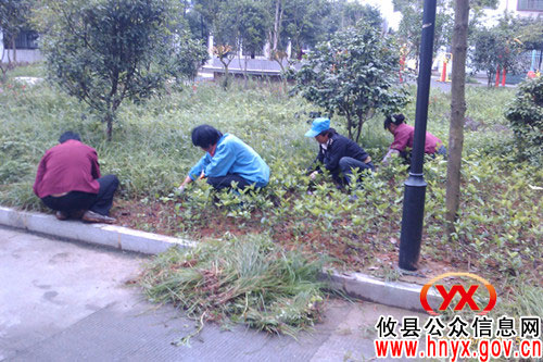 攸县市政园林处抢抓季节养护苗木