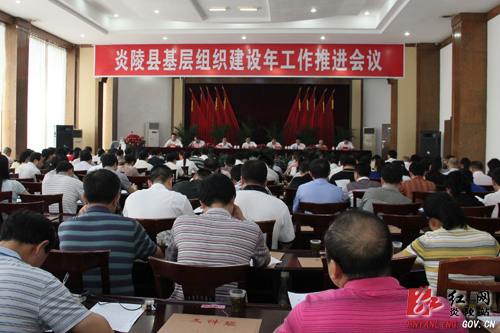 炎陵县基层组织建设年工作推进会召开