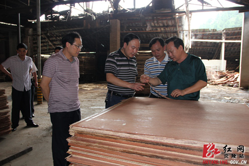 强力推进项目建设 全力激发乡镇经济活力