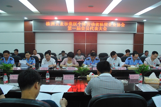 云龙示范区个体私营企业协会12日成立/图