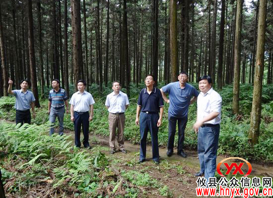 中国林场协会会长姚昌恬一行来攸县调研国有林场改革工作