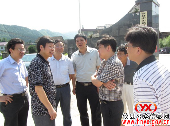 市人大常委会教科文卫委主任委员董忠良到攸县鸾山镇视察农村文化建设工作