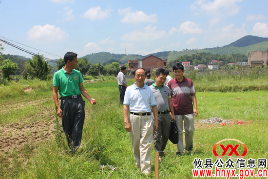 市关工委主任刘迪凯到攸县槚山乡湖沙垅村视察村级组织建设工作