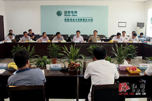 刘正平：科学定位电力发展方向 全力加快电网建设步伐