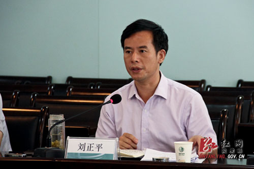 刘正平：科学定位电力发展方向 全力加快电网建设步伐