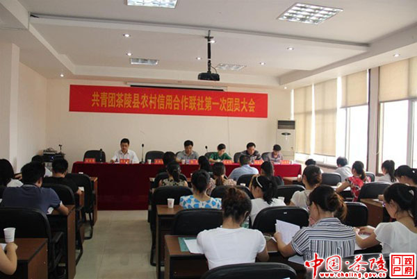 茶陵县农村信用合作联社团委成立大会胜利召开