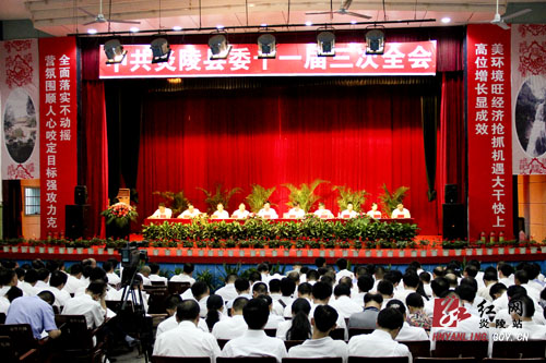 中共炎陵县委十一届三次全会胜利召开