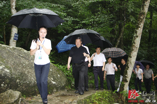 新华联集团来炎考察神农谷国际旅游度假区开发项目