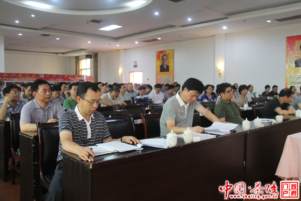 茶陵县委召开7月份中心组集中学习会