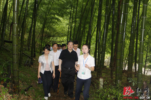 新华联集团来炎考察神农谷国际旅游度假区开发项目