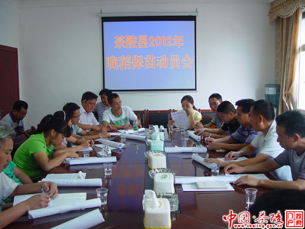 茶陵：全面做好晚稻保苗工作 全力争创全省粮食生产先进县
