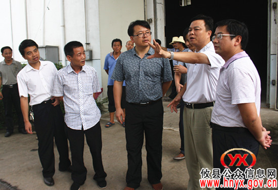 攸县早稻喜获丰收 胡湘之视察夏粮收购工作