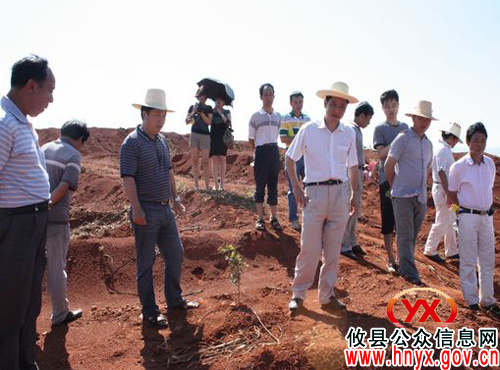 陈运发在全县油茶实用技术培训班上提出“三好”、“三化”要求