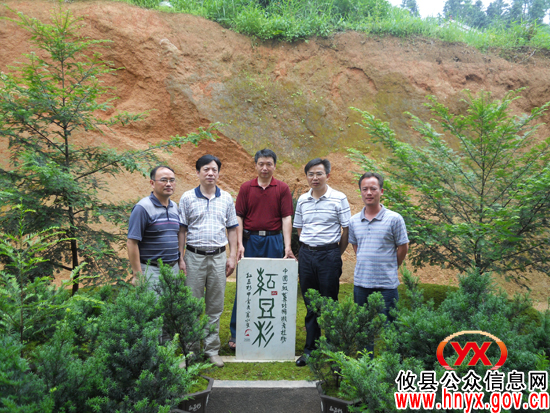 上了“神八”又上 “神九”　攸县红豆杉种子回故里