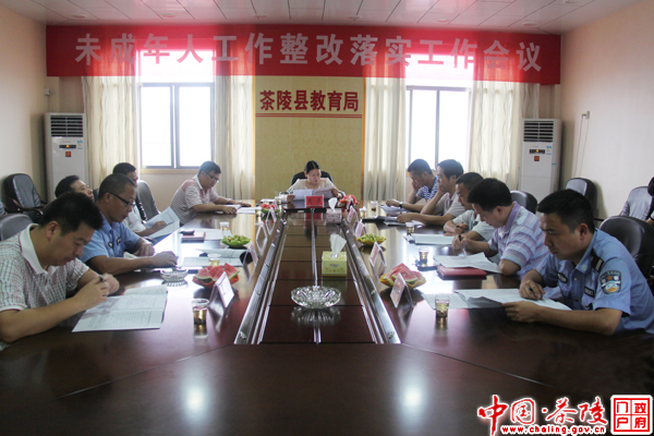 茶陵召开未成年人思想道德建设整改落实工作会议