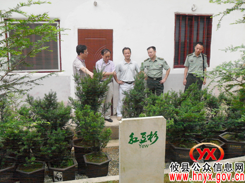 王庆波一行到丫江桥镇视察指导工作