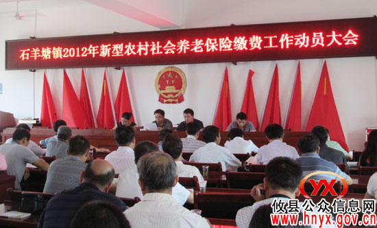 攸县石羊塘镇动员新型农村社会养老保险缴费工作
