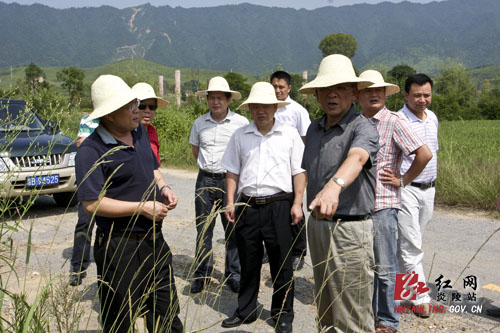 杨正午倡议的炎帝陵＂盆景园＂项目今日选址
