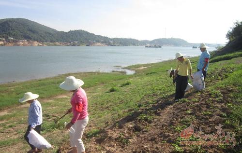 中路社区计生协会参与“保护湘江母亲河”环保活动