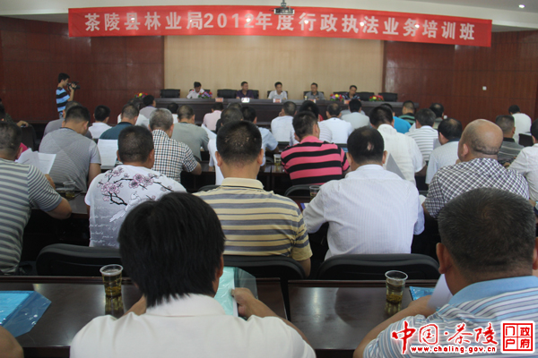 茶陵县林业局开展2012年度行政执法业务培训