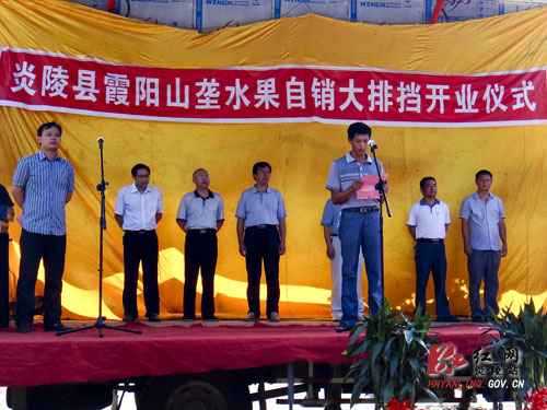 霞阳镇山垅村自产自销水果产品市场开业