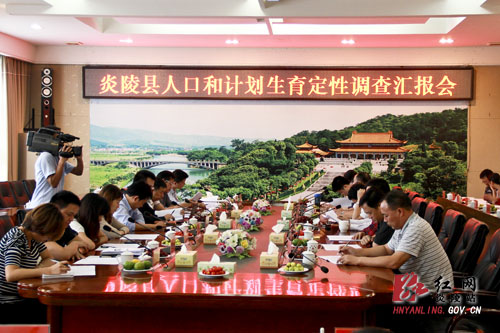 省人口计生委工作组来炎检查计生综治工作