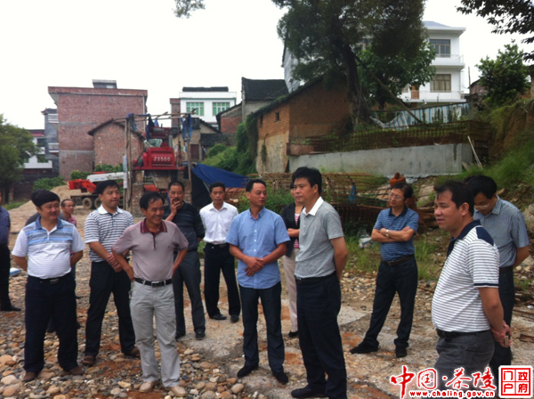 彭新军视察舲洲大桥工程建设