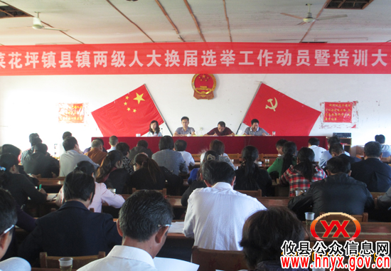 攸县菜花坪镇召开县镇两级人大换届选举工作会