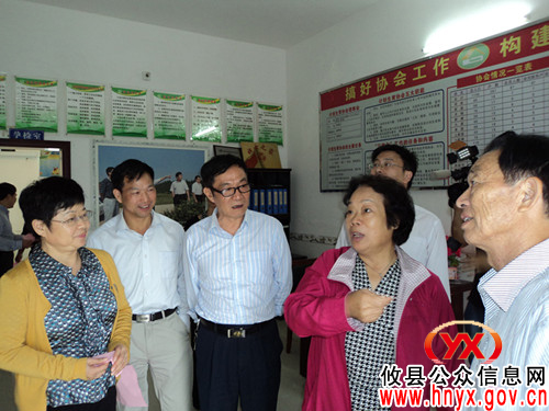 省计生协会会长石玉珍考察攸县计生“三结合”项目