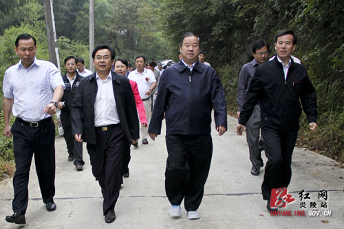 傅军率国内多家规划设计院专家来炎考察神农谷国际文化旅游度假区项目