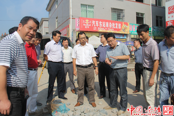 毛朝晖到洣江乡调研督查河东新区项目建设情况