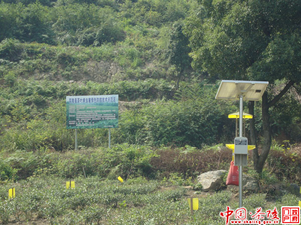 茶陵：千亩茶园推行“绿色植保”