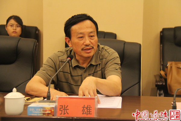 张雄到我县调研文化产业发展情况