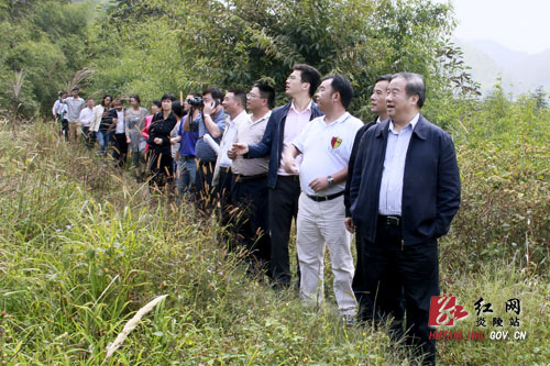 傅军率国内多家规划设计院专家来炎考察神农谷国际文化旅游度假区项目