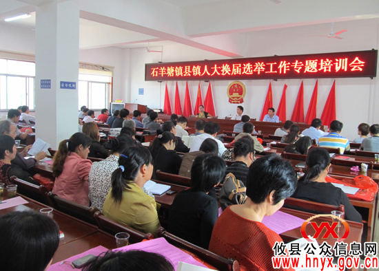 攸县石羊塘镇召开县乡两级人大换届选举工作专题培训会