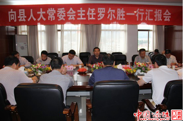 县人大常委会主任（扩大）会议成员视察油茶产业建设情况
