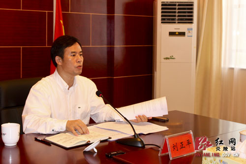 炎陵县人民政府召开第46次常务会议