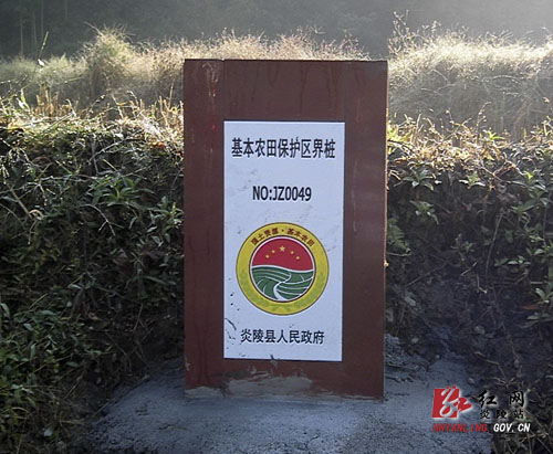 东风乡永久基本农田划定全面完成