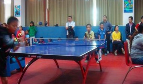 株洲市“三好杯”乒乓球运动会南方一小取得骄人成绩