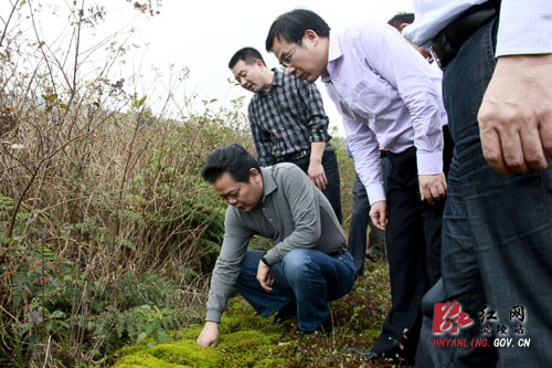 王群：＂新炎陵、新创业＂——建设以炎帝文化为特征的生态旅游强县