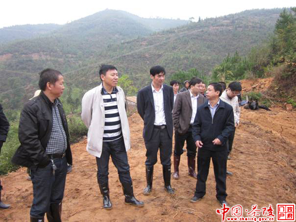 省水利厅刘佩亚副厅长一行到茶陵检查指导水利建设工作