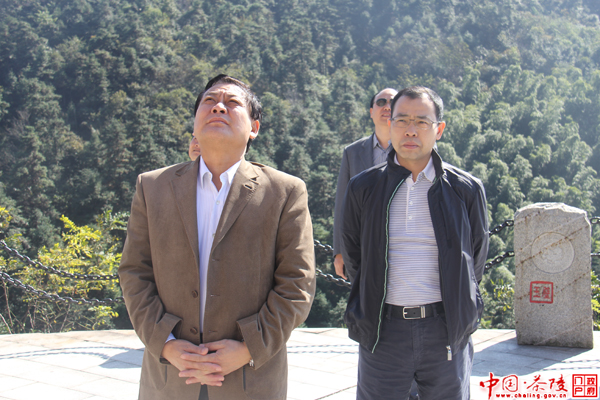 尹中卿考察茶陵旅游文化景点