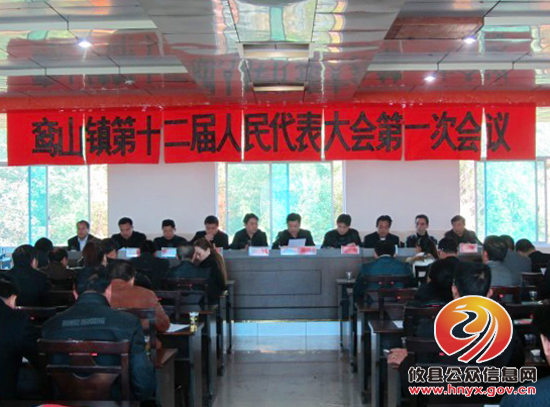 攸县鸾山镇第十二届人大一次会议 翟谭明、刘亮全票当选人大主席、镇长