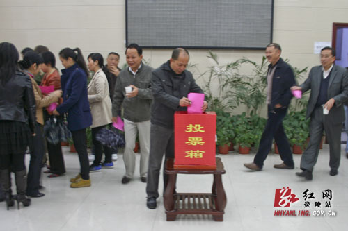 炎陵县如期举行县乡人大代表投票选举