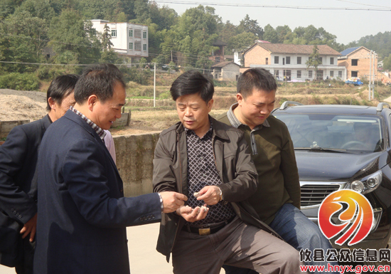 陈运发一行视察槚山乡农综项目建设