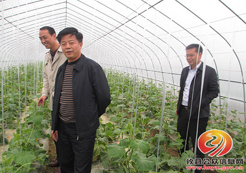 陈运发到菜花坪镇苏洲蔬菜基地调研指导工作