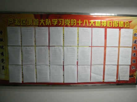 中共芦淞城管大队党支部要求党员认真学习十八大并写出心得体会