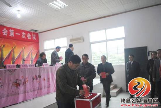 攸县莲塘坳镇召开十五届人民代表大会第一次会议